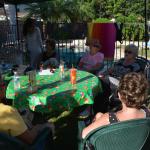 BBQandPoolParty_0048 (August 01, 2015)
